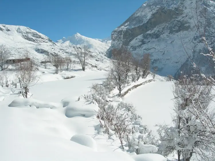 हियुंते डंग