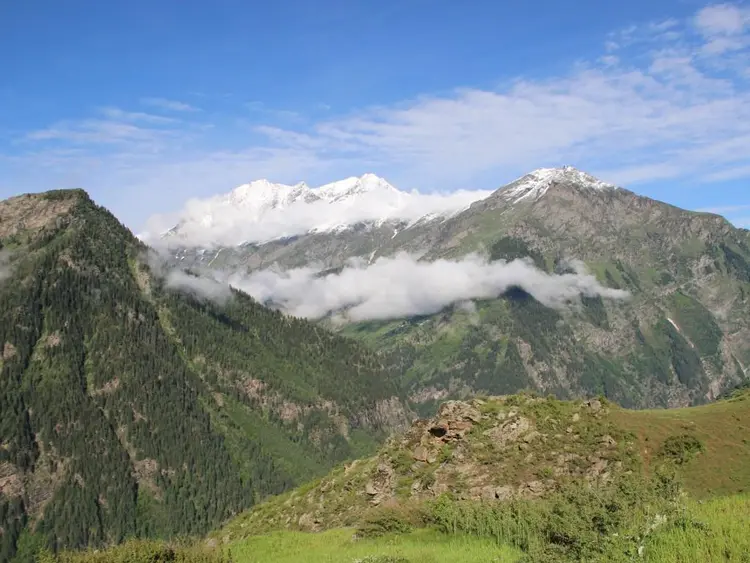 साचपास कनारी फोटो