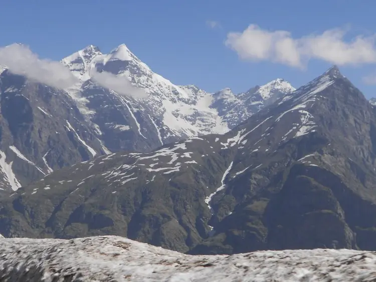 बस्ते टेमी साचपासे फोटो