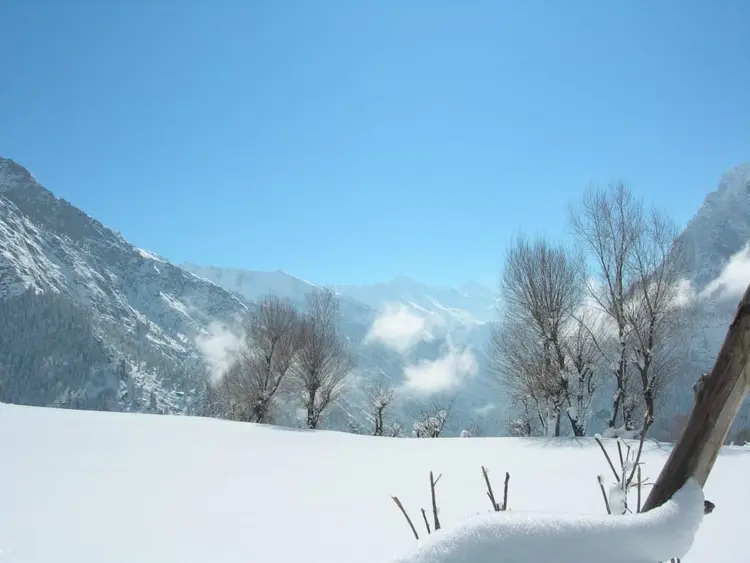 अब्बल फोटो