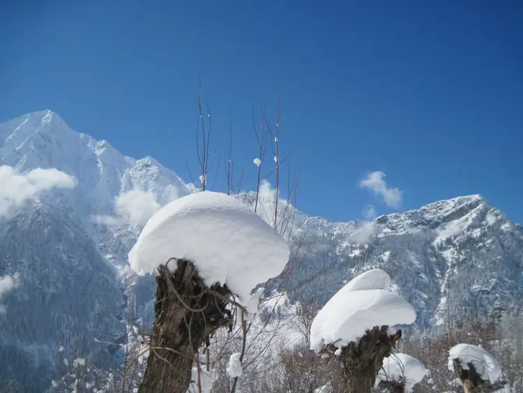हियुते टेम बुटे बठ ड़ागे फोटो